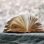 Trixieliko Book 2341083 1920 150x150