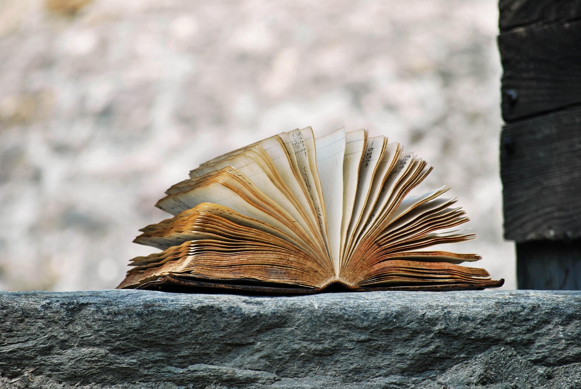 Trixieliko Book 2341083 1920